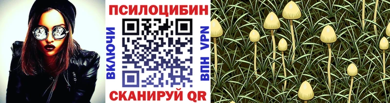 Галлюциногенные грибы мицелий  купить наркотик  Соликамск 